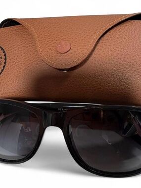 Ray-Ban Men’s and Women’s Black Sunglasses with Brown Case